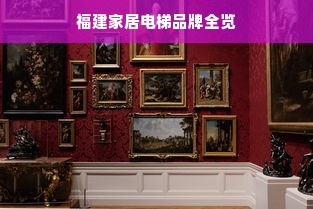 福建家居电梯品牌全览