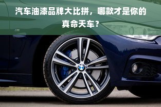 汽车油漆品牌大比拼，哪款才是你的真命天车？