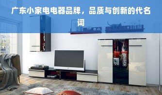 广东小家电电器品牌，品质与创新的代名词