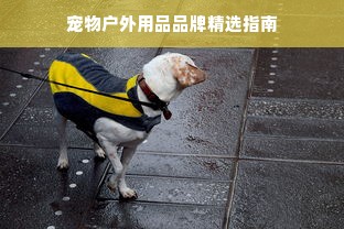 宠物户外用品品牌精选指南