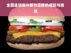 全国连锁新兴餐饮品牌的崛起与挑战