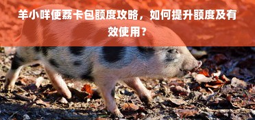 淘宝先用后付额度提现商家揭秘，助力额度有多少？