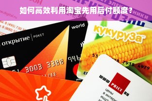 京东白条额度如何套出来商家,怎么共享京东白条额度