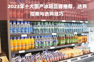 2023年十大国产冰箱品牌推荐，选购指南与选购技巧