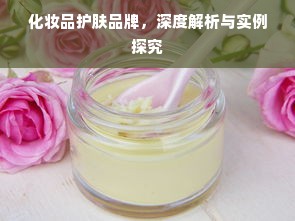 化妆品护肤品牌，深度解析与实例探究