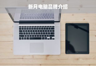 新月电脑品牌介绍