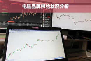 电脑品牌供给状况分析