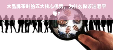 京东白条额度操作详解，如何提升额度并有效使用白条分期