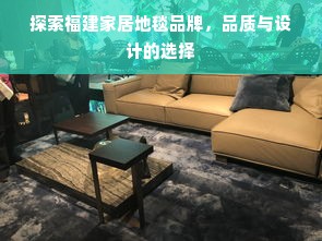 探索福建家居地毯品牌，品质与设计的选择