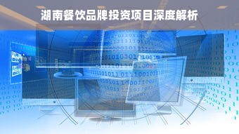 湖南餐饮品牌投资项目深度解析