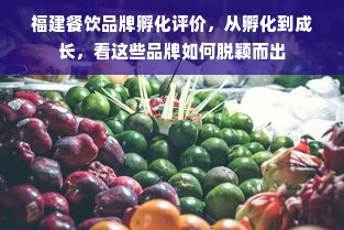 福建餐饮品牌孵化评价，从孵化到成长，看这些品牌如何脱颖而出