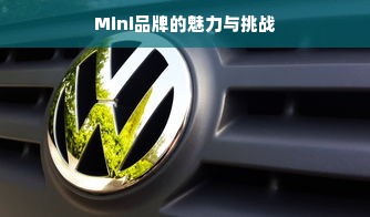 Mini品牌的魅力与挑战