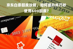 京东白条额度攻略，如何提升并巧妙使用600额度？