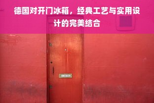 德国对开门冰箱，经典工艺与实用设计的完美结合