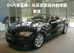 小身材大能耐！2024最值得入手的迷你冰箱推荐与选购指南