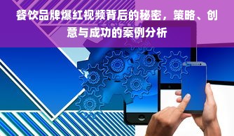 餐饮品牌爆红视频背后的秘密，策略、创意与成功的案例分析