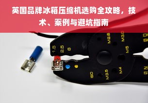 英国品牌冰箱压缩机选购全攻略，技术、案例与避坑指南