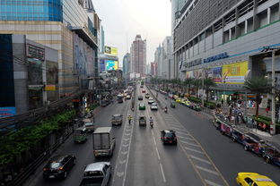 大连市新玛特化妆品品牌，品质之选，时尚前沿