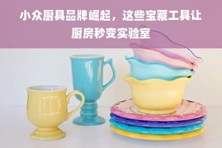 小众厨具品牌崛起，这些宝藏工具让厨房秒变实验室
