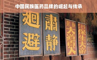 中国民族医药品牌的崛起与传承
