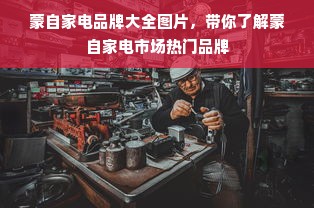 蒙自家电品牌大全图片，带你了解蒙自家电市场热门品牌