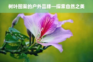 树叶图案的户外品牌—探索自然之美
