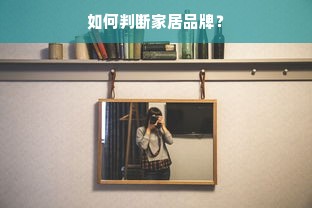 如何判断家居品牌？