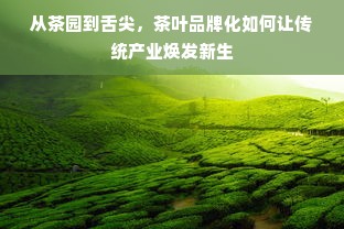 从茶园到舌尖，茶叶品牌化如何让传统产业焕发新生