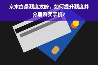 羊小咩便荔卡额度怎么套出来?羊小咩便荔卡额度等级怎么看？