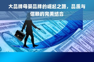 大品牌母婴品牌的崛起之路，品质与信赖的完美结合