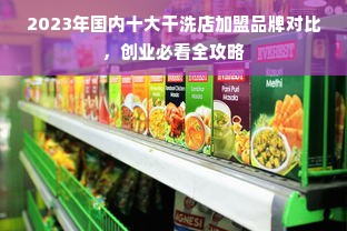 2023年国内十大干洗店加盟品牌对比，创业必看全攻略