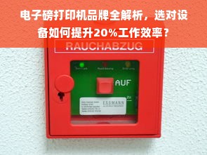 电子磅打印机品牌全解析，选对设备如何提升20%工作效率？