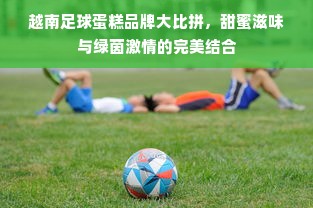 越南足球蛋糕品牌大比拼，甜蜜滋味与绿茵激情的完美结合
