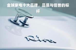 金球家电十大品牌，品质与信誉的标杆