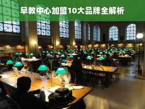 早教中心加盟10大品牌全解析