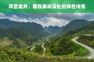 周至龙井，藏在秦岭深处的绿色传奇