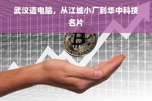 武汉造电脑，从江城小厂到华中科技名片