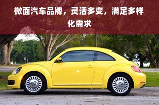 微面汽车品牌，灵活多变，满足多样化需求