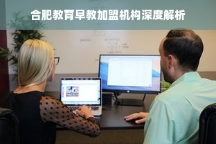 合肥教育早教加盟机构深度解析