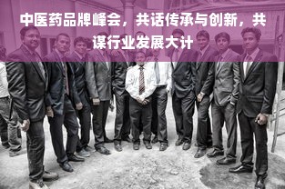 中医药品牌峰会，共话传承与创新，共谋行业发展大计