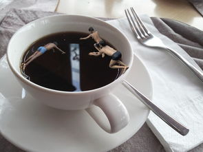 春天茶叶品牌大比拼，哪款才是你的本命茶？