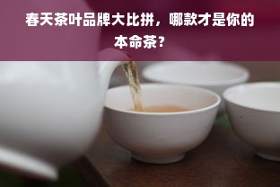 春天茶叶品牌大比拼，哪款才是你的本命茶？