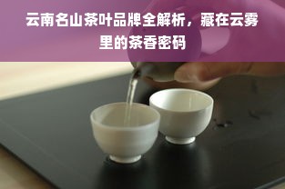 云南名山茶叶品牌全解析，藏在云雾里的茶香密码