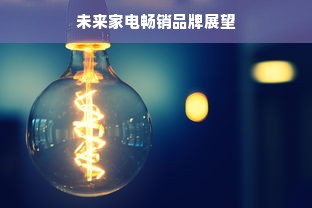 未来家电畅销品牌展望