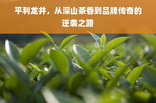 平利龙井，从深山茶香到品牌传奇的逆袭之路