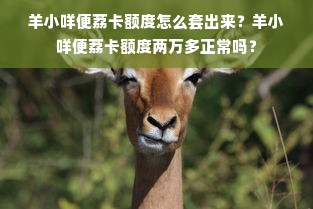 梅州UV打印机厂家价格全解析，从入门到高端的选购指南