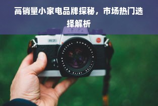 高销量小家电品牌探秘，市场热门选择解析