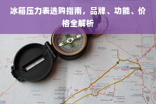 冰箱压力表选购指南，品牌、功能、价格全解析
