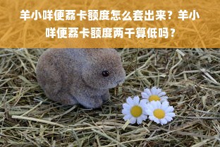 法国童装界的奢侈品，高端品牌如何定义童装美学与品质？