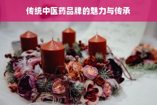 传统中医药品牌的魅力与传承